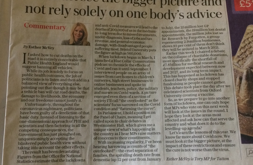 Esther McVey's article in the 'Daily Telegraph' 27th November 2020
