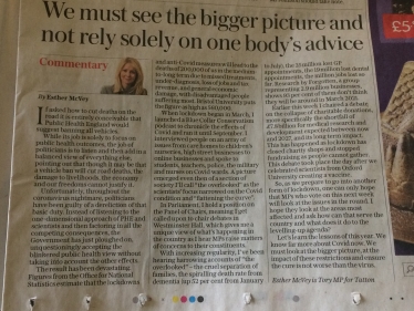 Esther McVey's article in the 'Daily Telegraph' 27th November 2020